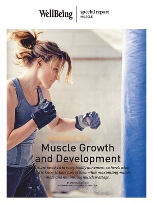cover image of WellBeing Special Reports: The Collection